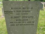 image of grave number 358994